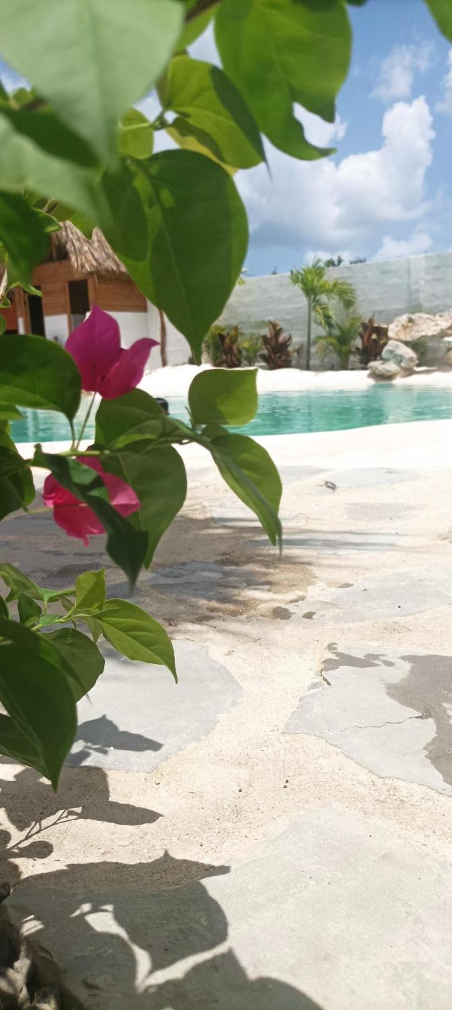 Blue Beach Eco-Hotel By Sanfabini Bayahibe Eksteriør bilde